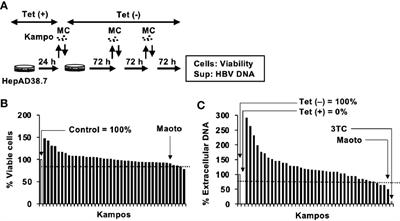 A Traditional Chinese Medicine, Maoto, Suppresses Hepatitis B Virus Production